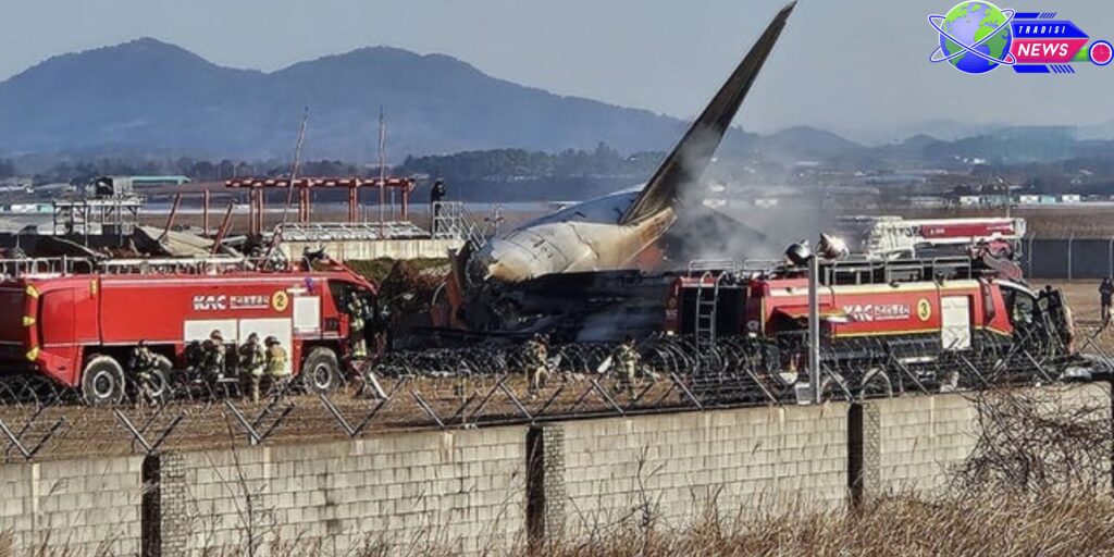 jeju air